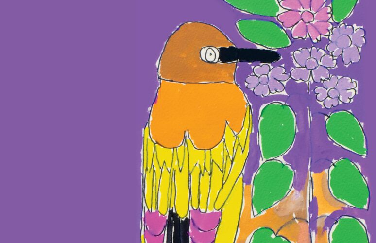 50 Birds; A multi-coloured bird against a purple background. The bird has orange, pink and yellow feathers.