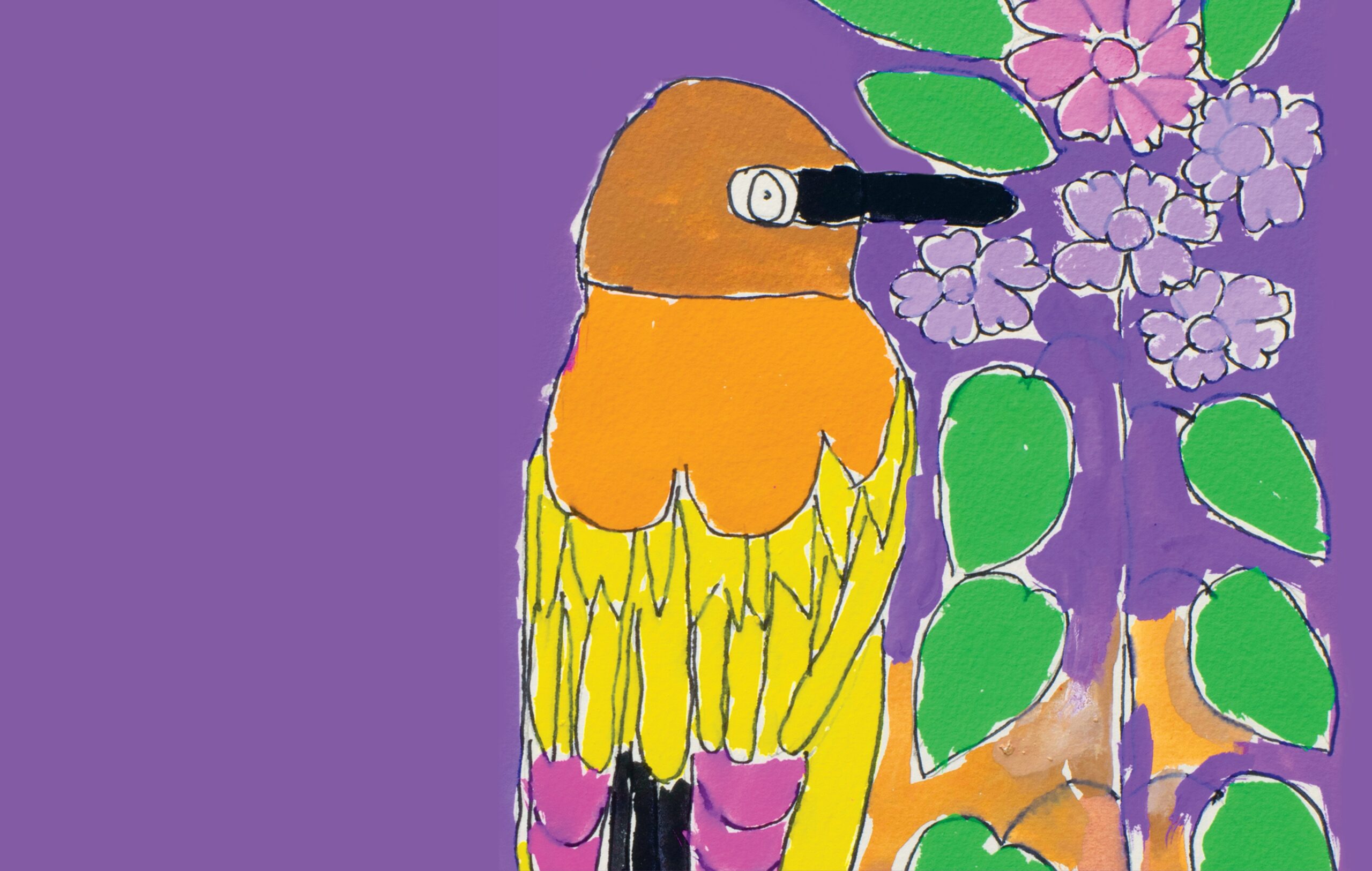 50 Birds; A multi-coloured bird against a purple background. The bird has orange, pink and yellow feathers.